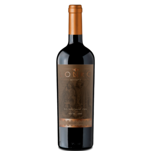 LONKO NOVATO - CARMENERE